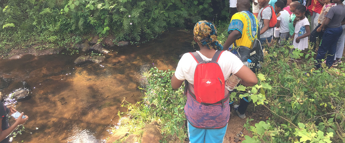 Schéma d’entretien et de restauration des rivieras de Mayotte : compte  rendu du COPIL