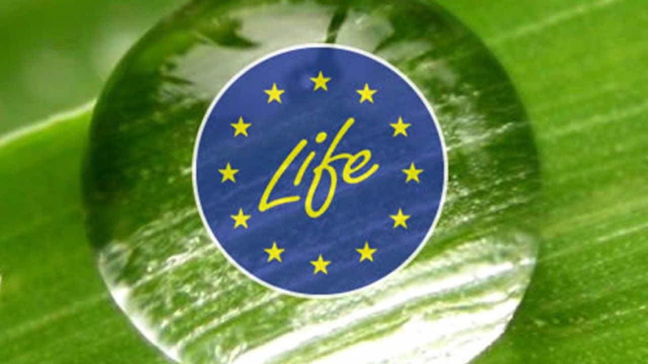 Le programme LIFE, un soutien aux projets dans le secteur de l’environnement