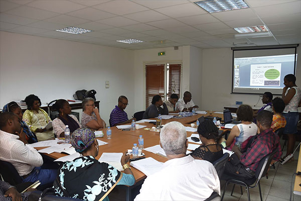 Première réunion MDPH 2017 : Mise en place d’une commission de gestions des situations critiques